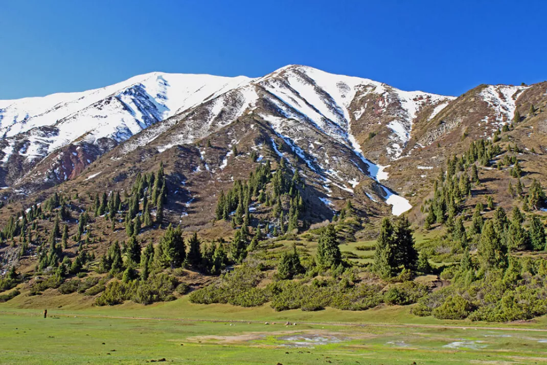 Горы в Жыргалане Кыргызстан